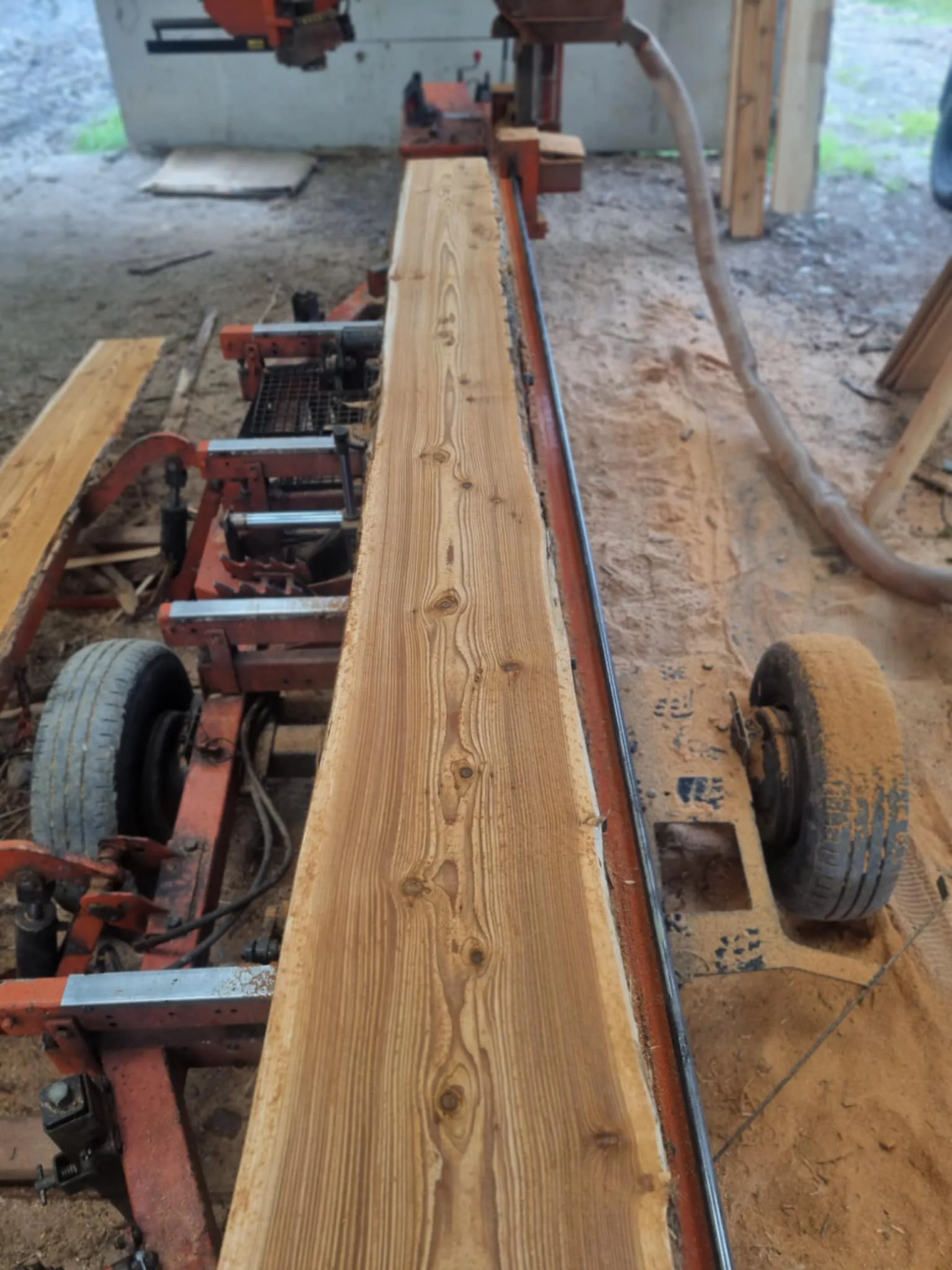 Freshly sawn board straight off the mill