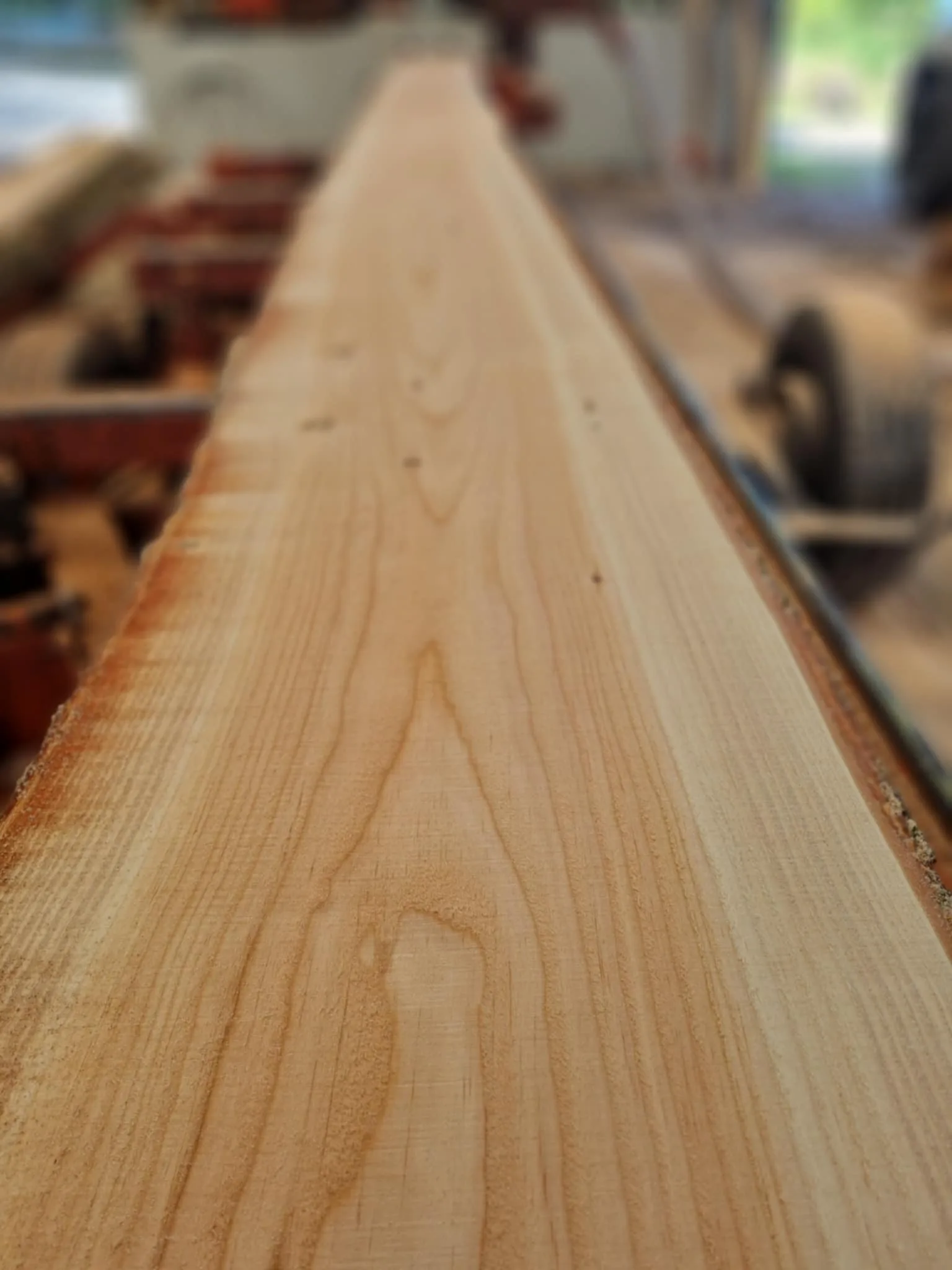 Freshly cut timber ready for sale